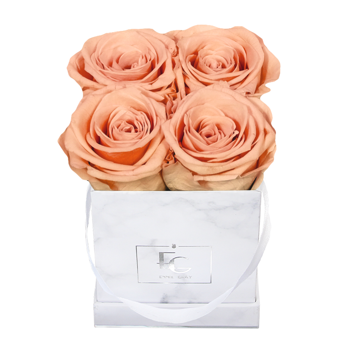 Classic Infinity Rosebox | Perfect Peach | XS