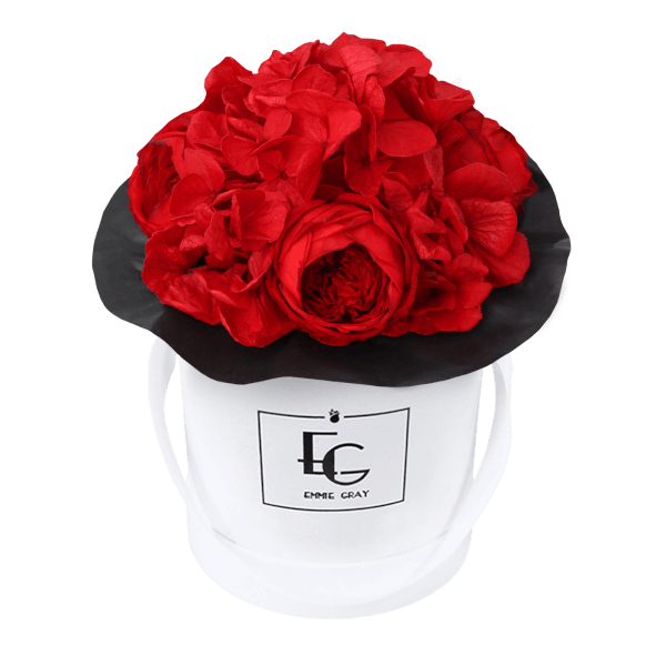 Splendid Peony Infinity Rosebox | Vibrant Red | XS