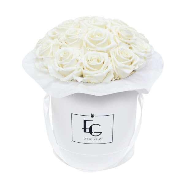 SPLENDID INFINITY ROSEBOX | PURE WHITE | M