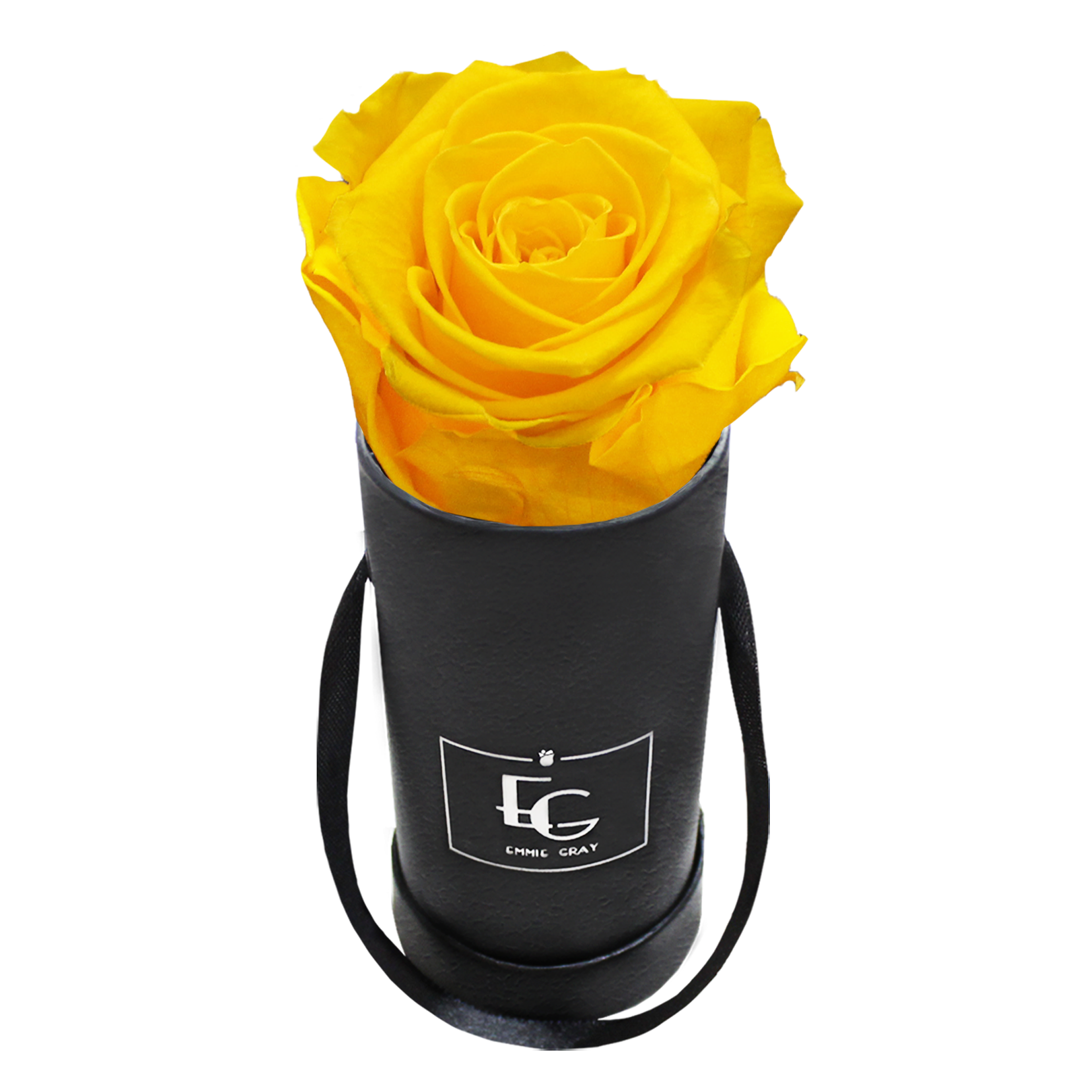 CLASSIC INFINITY ROSEBOX | SUNNY YELLOW | XXS