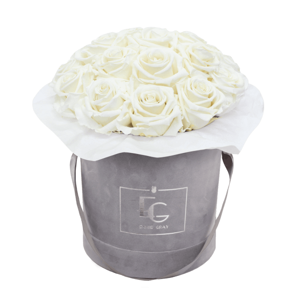 SPLENDID INFINITY ROSEBOX | PURE WHITE | M