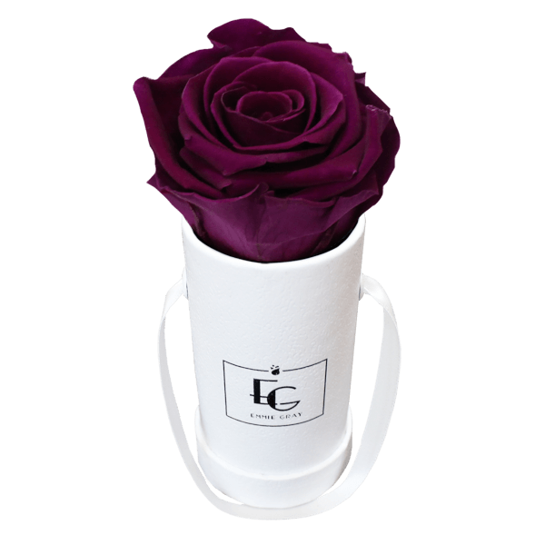 CLASSIC INFINITY ROSEBOX | VELVET PLUM | XXS