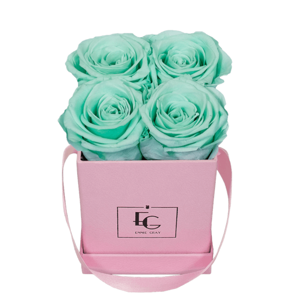 CLASSIC INFINITY ROSEBOX | MINTY GREEN | XS