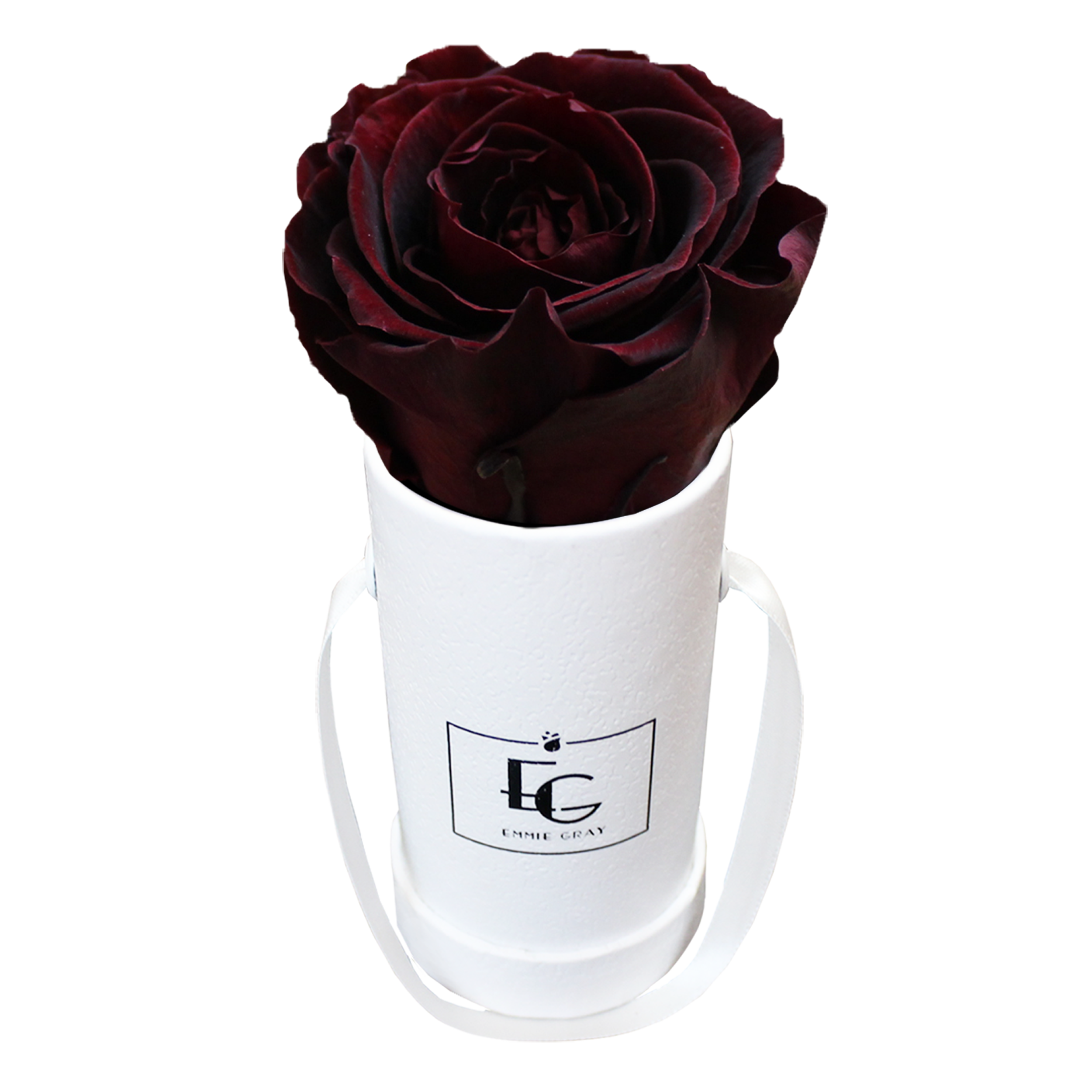 CLASSIC INFINITY ROSEBOX | BURGUNDY | XXS