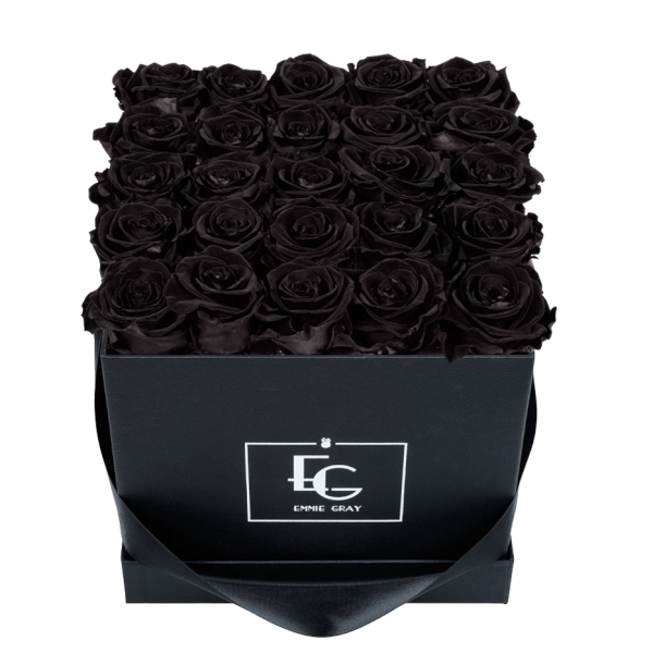 CLASSIC INFINITY ROSEBOX | BLACK BEAUTY | M