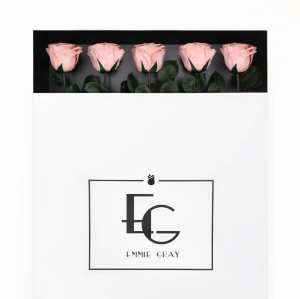 Long Stem Infinity Rose | Antique Pink | 5 Roses