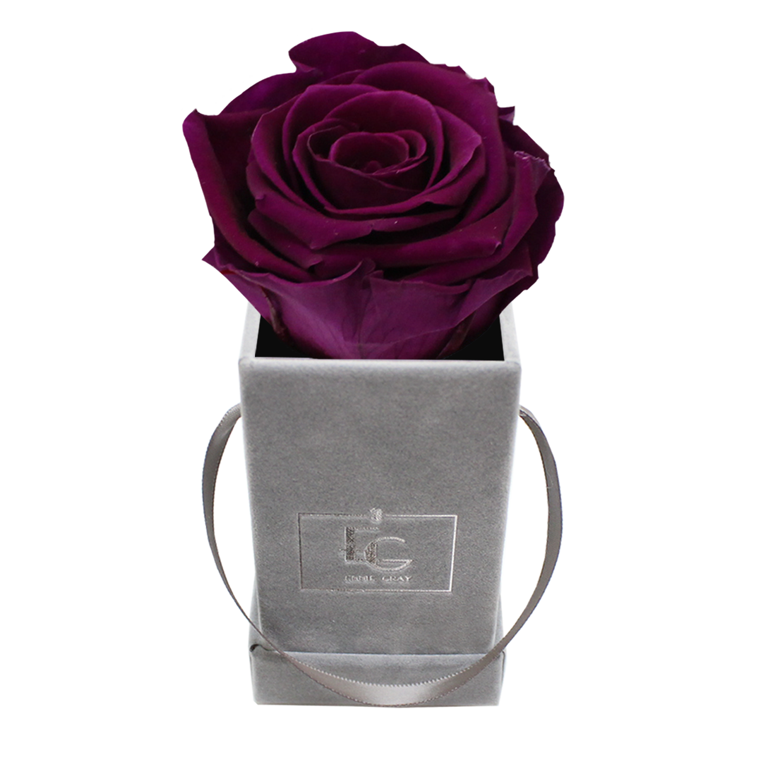 CLASSIC INFINITY ROSEBOX | VELVET PLUM | XXS