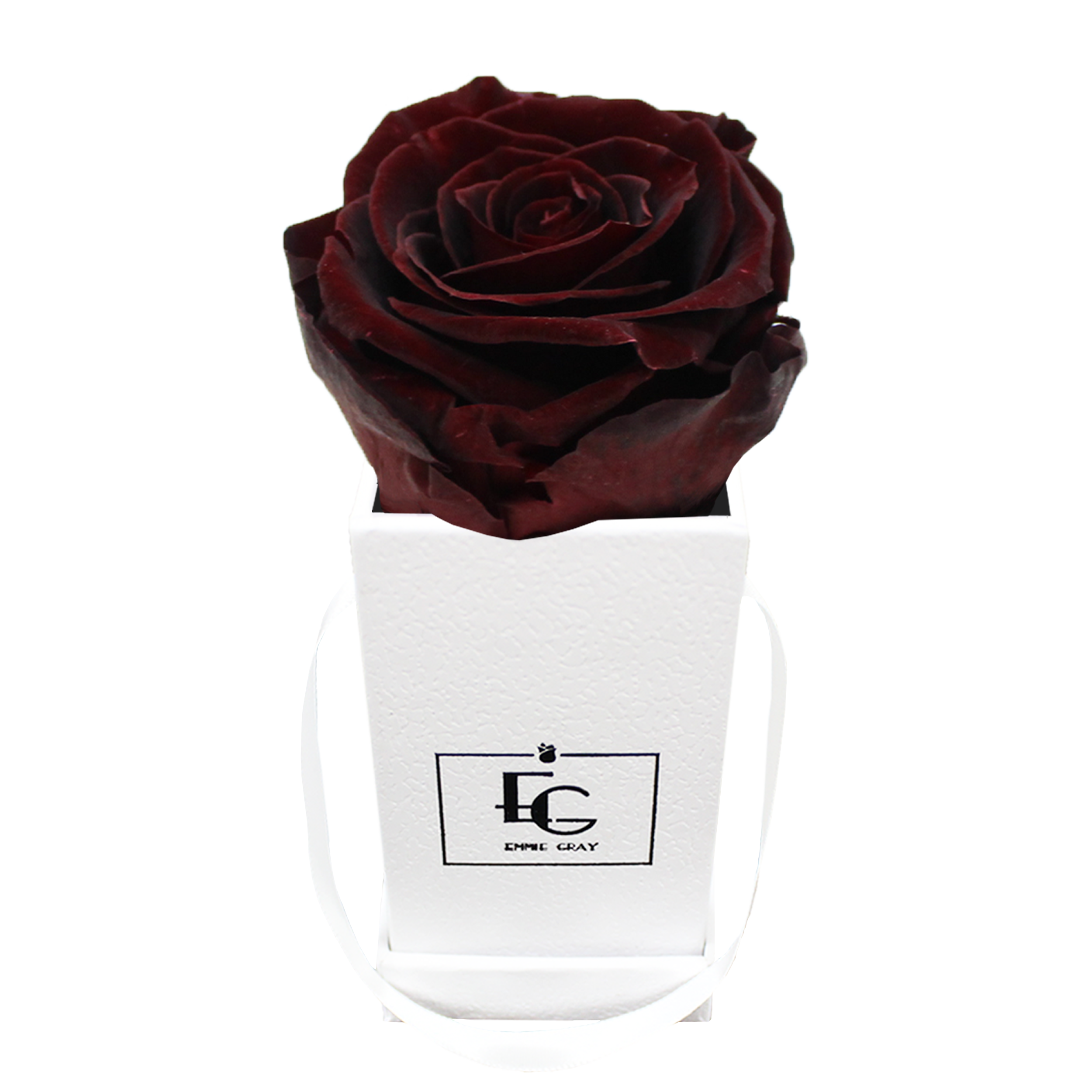 CLASSIC INFINITY ROSEBOX | BURGUNDY | XXS