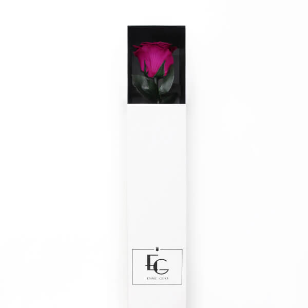 Long Stem Infinity Rose | Velvet Plum | 1 Rose