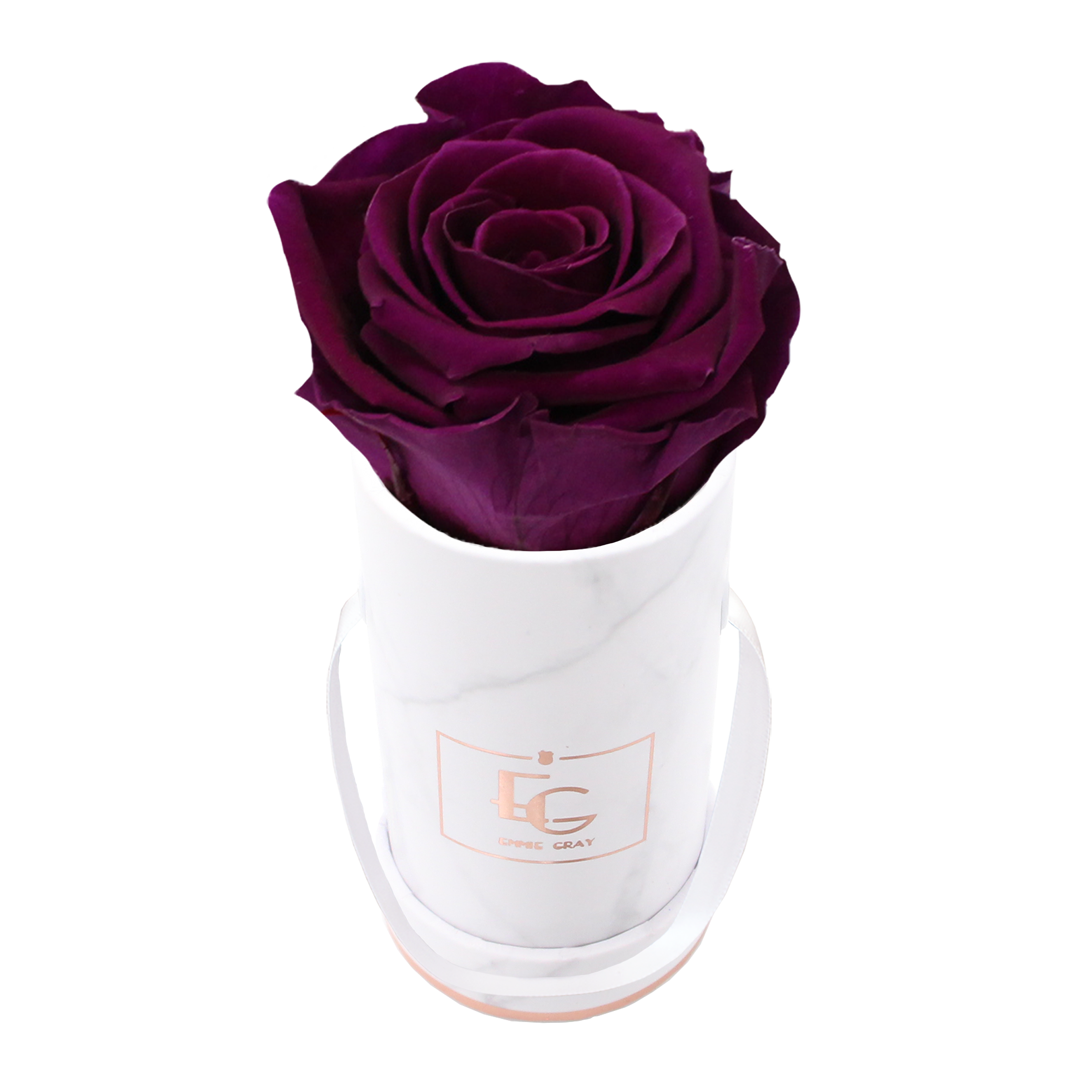 Classic Infinity Rosebox | Velvet Plum | XXS