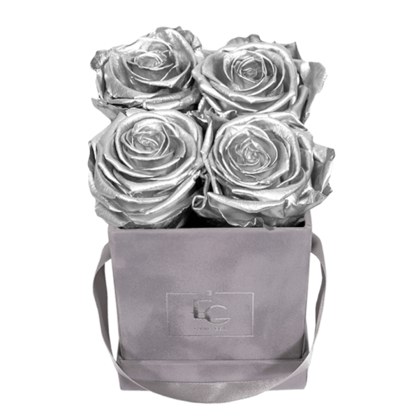 CLASSIC INFINITY ROSEBOX | SILVER | XS