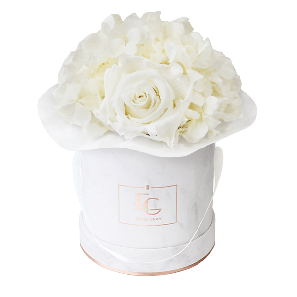 Splendid Hydrangea Infinity Rosebox | Pure White | XS