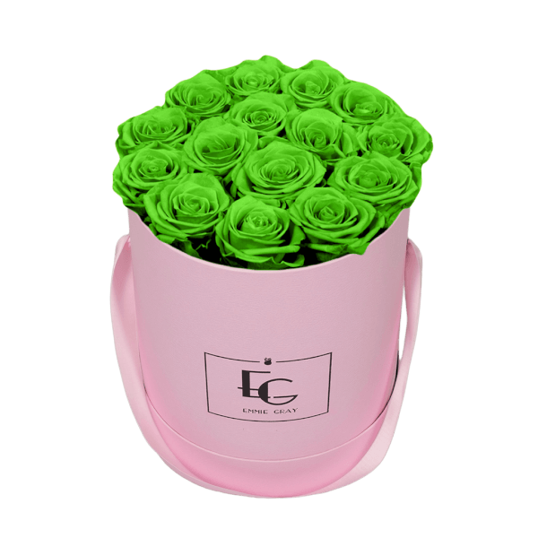 CLASSIC INFINITY ROSEBOX | GREEN GLOW | M