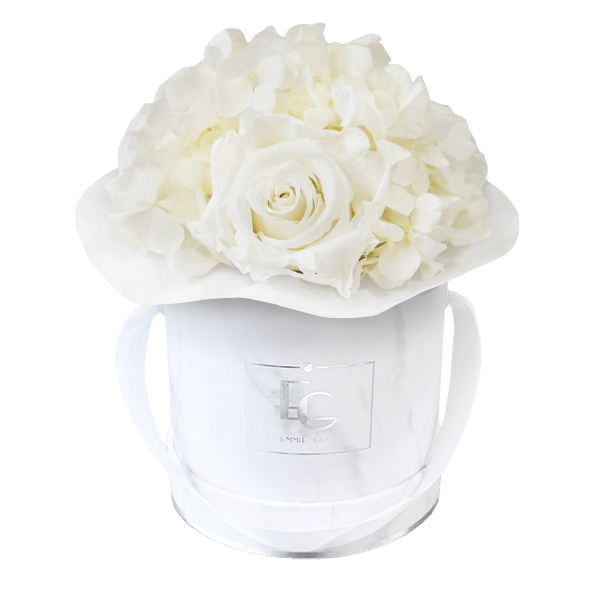 Splendid Hydrangea Infinity Rosebox | Pure White | XS