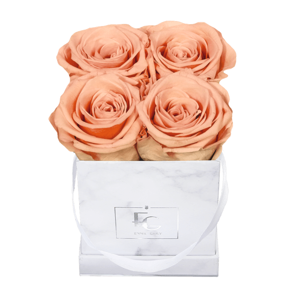 Classic Infinity Rosebox | Perfect Peach | XS