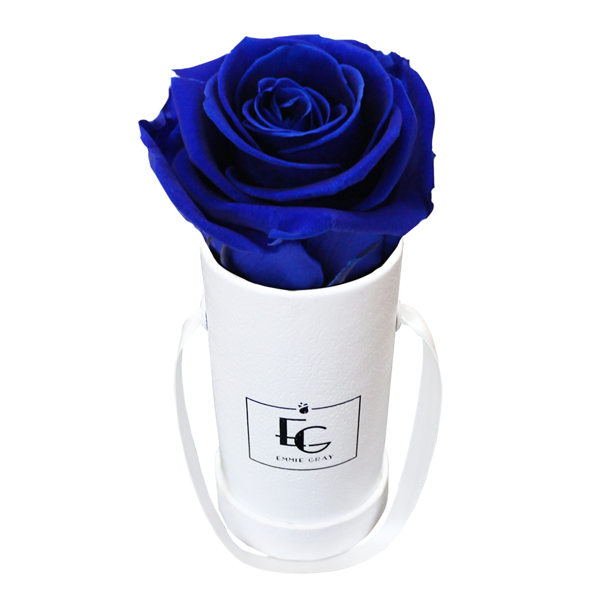 CLASSIC INFINITY ROSEBOX | OCEAN BLUE | XXS CLASSIC INFINITY ROSEBOX | OCEAN BLUE | XXS