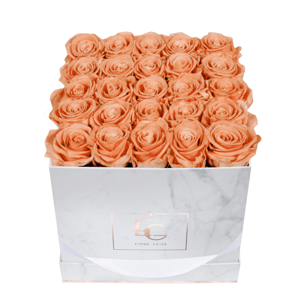 Classic Infinity Rosebox | Perfect Peach | M