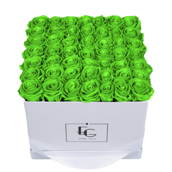 CLASSIC INFINITY ROSEBOX | GREEN GLOW | L