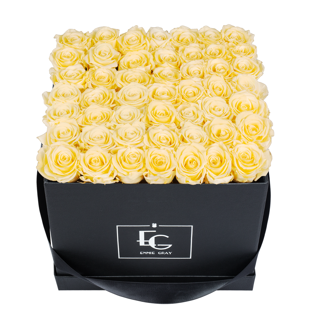 CLASSIC INFINITY ROSEBOX | CHAMPAGNE | L