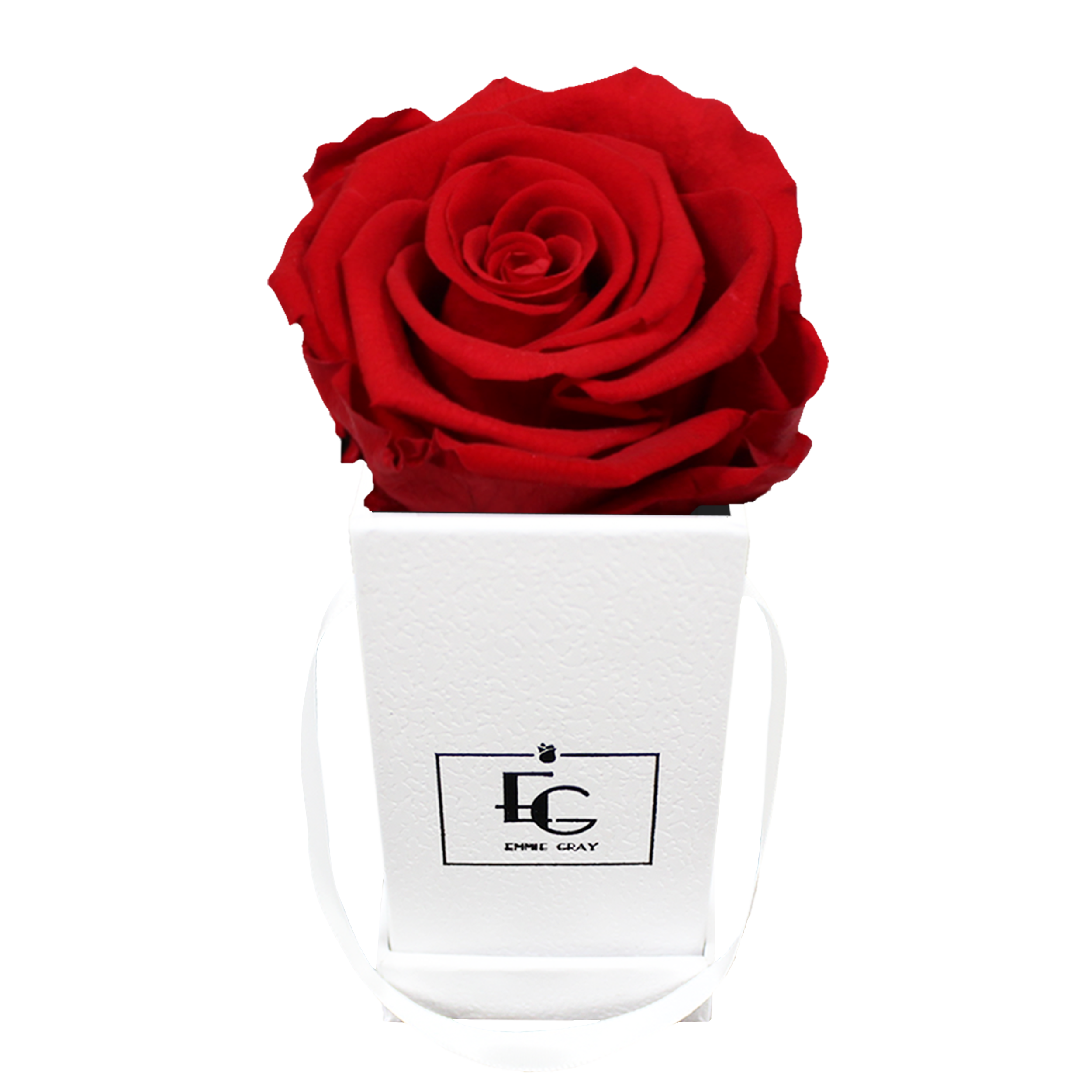 CLASSIC INFINITY ROSEBOX | VIBRANT RED | XXS