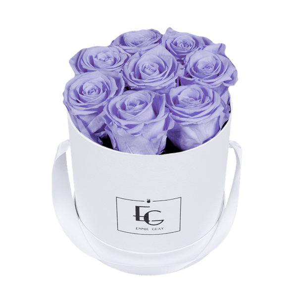 CLASSIC INFINITY ROSEBOX | COOL LAVENDER | S