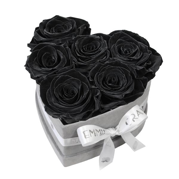 Classic Infinity Rosebox | Black Beauty | S