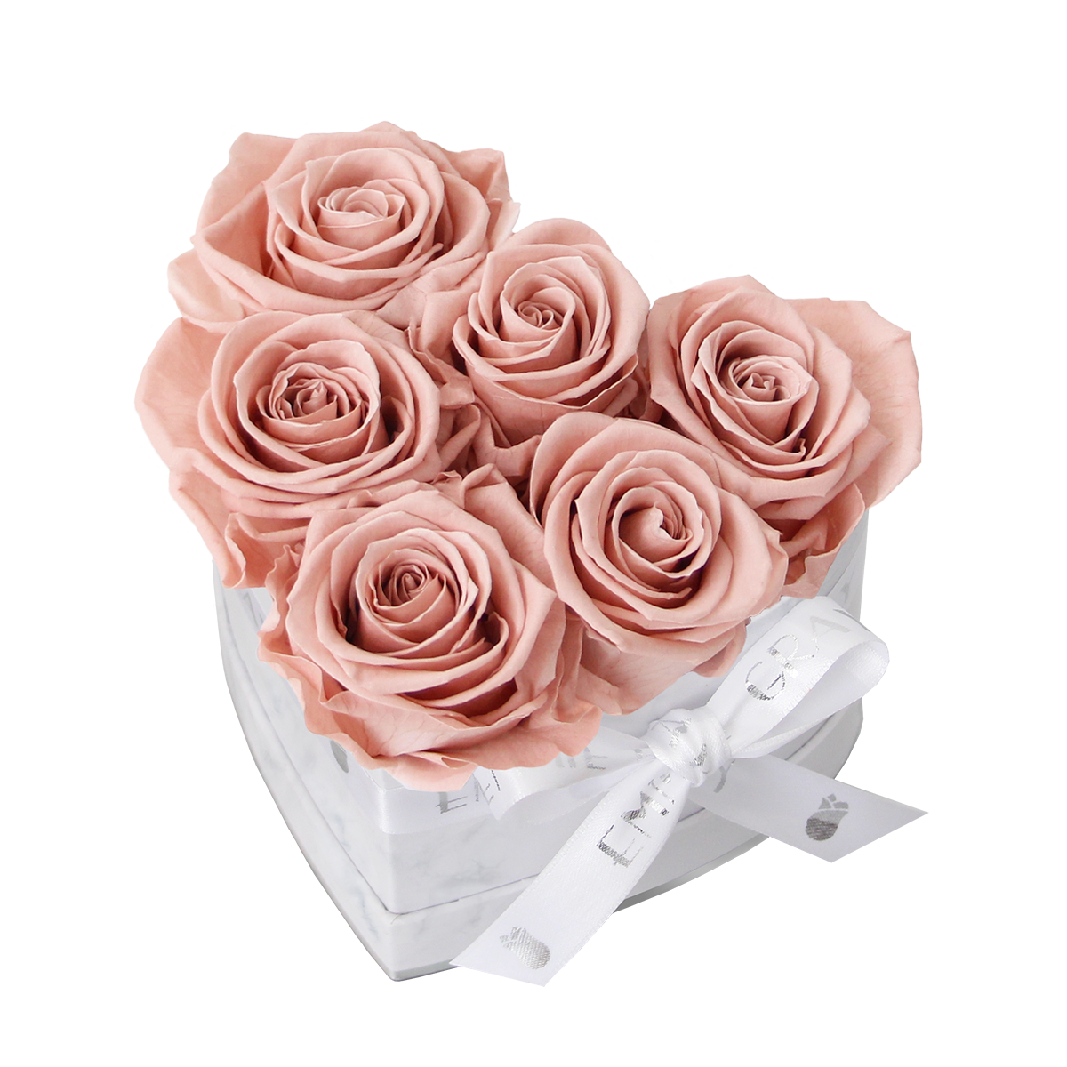 Classic Infinity Rosebox | Antique Pink | S
