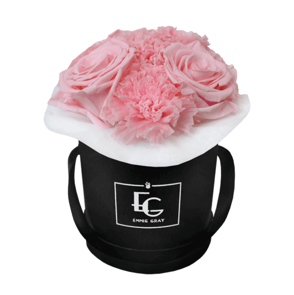 SPLENDID CARNATION INFINITY ROSEBOX | BRIDAL PINK | XS