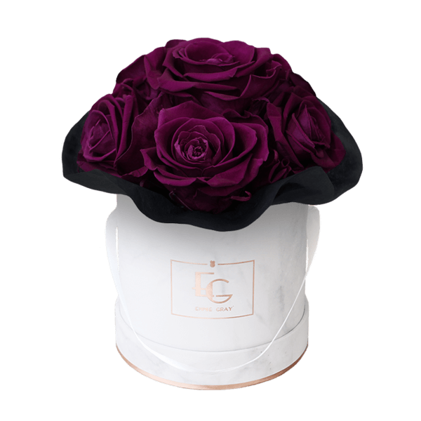 Splendid Infinity Rosebox | Velvet Plum | XS