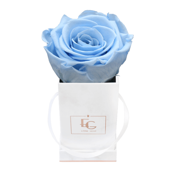 Classic Infinity Rosebox | Baby Blue | XXS