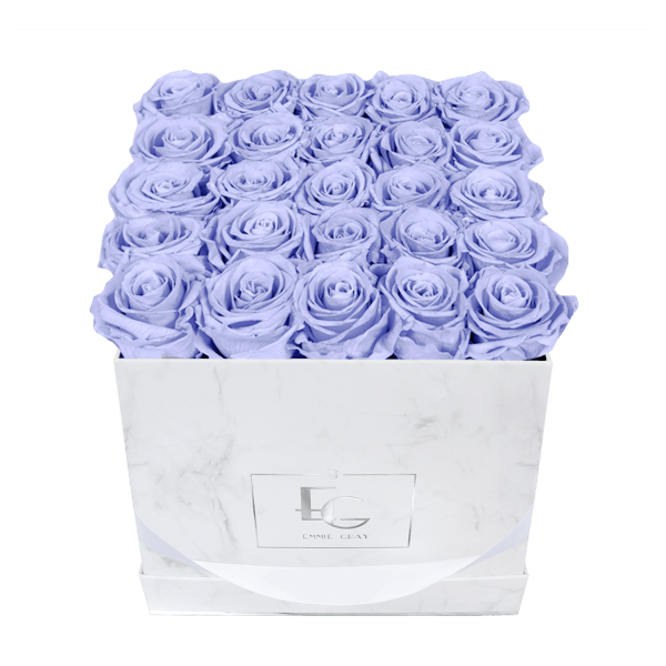Classic Infinity Rosebox | Cool Lavender | M