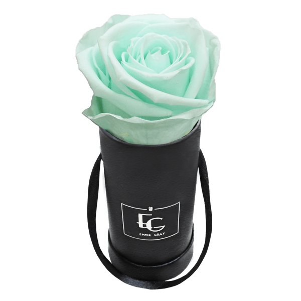 CLASSIC INFINITY ROSEBOX | MINTY GREEN | XXS