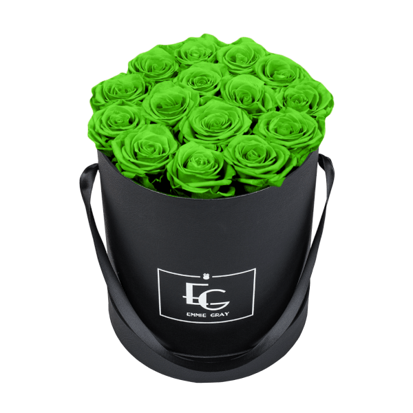 CLASSIC INFINITY ROSEBOX | GREEN GLOW | M