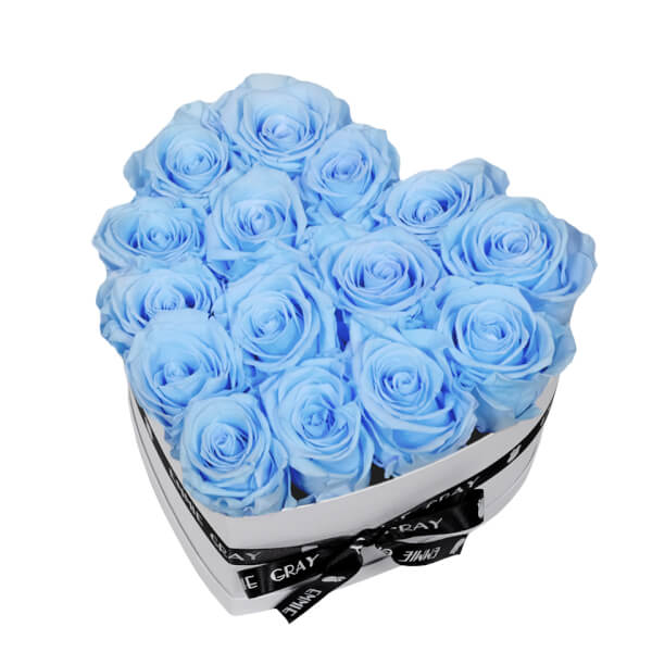 Classic Infinity Rosebox | Baby Blue | M