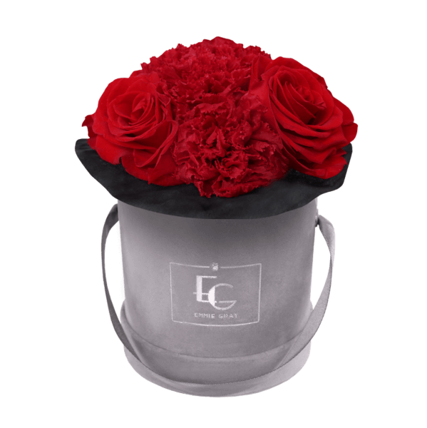 SPLENDID CARNATION INFINITY ROSEBOX | VIBRANT RED | XS