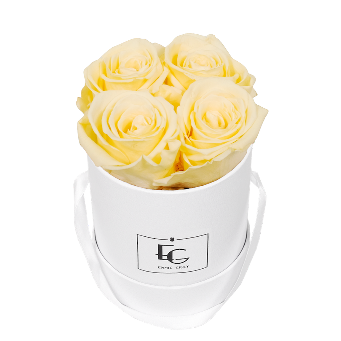 CLASSIC INFINITY ROSEBOX | CHAMPAGNE | XS CLASSIC INFINITY ROSEBOX | CHAMPAGNE | XS