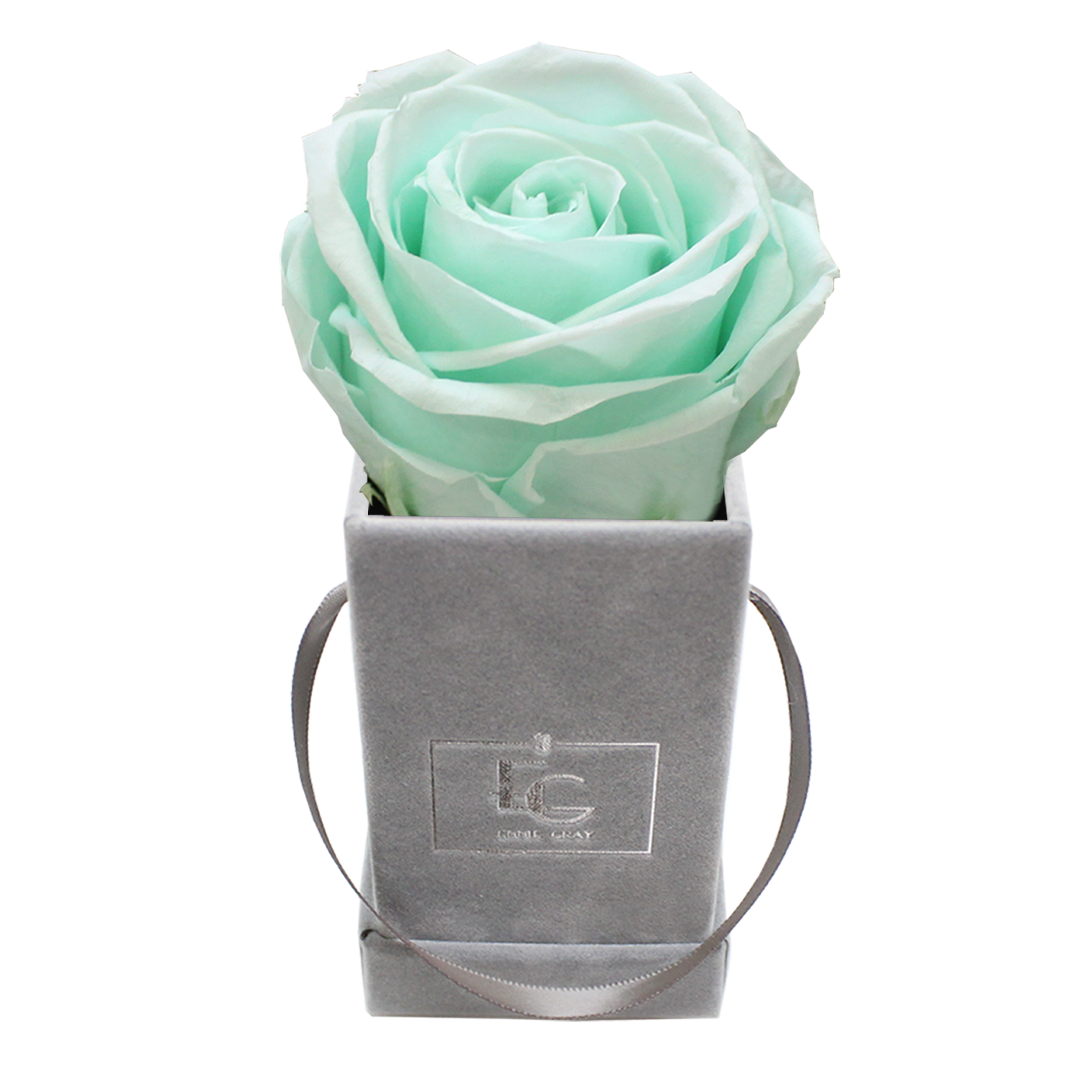 CLASSIC INFINITY ROSEBOX | MINTY GREEN | XXS