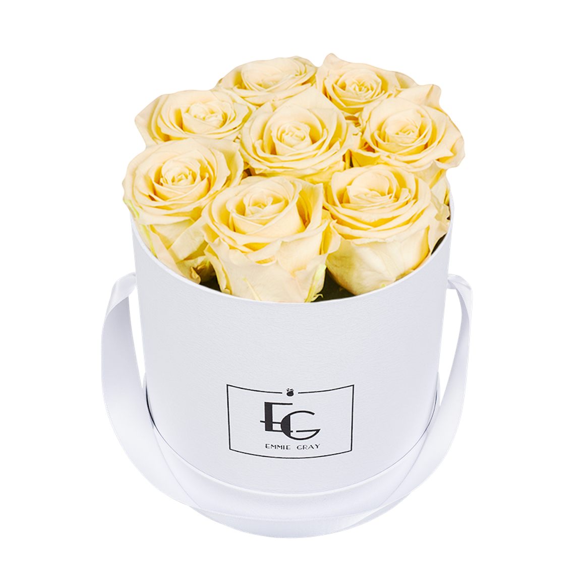 CLASSIC INFINITY ROSEBOX | CHAMPAGNE | S