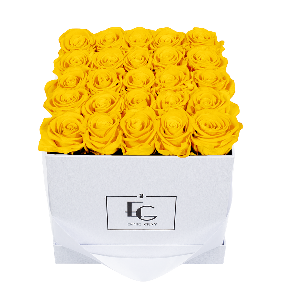 CLASSIC INFINITY ROSEBOX | SUNNY YELLOW | M