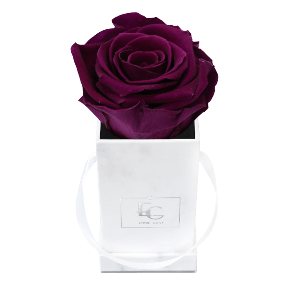 Classic Infinity Rosebox | Velvet Plum | XXS