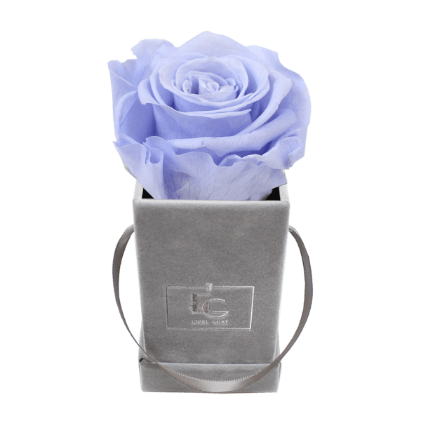 CLASSIC INFINITY ROSEBOX | COOL LAVENDER | XXS