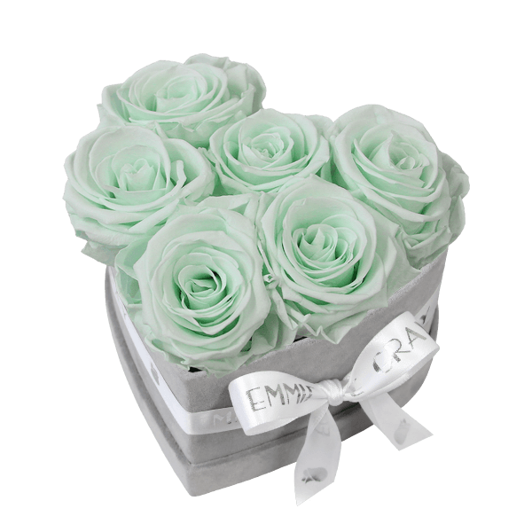 Classic Infinity Rosebox | Minty Green | S