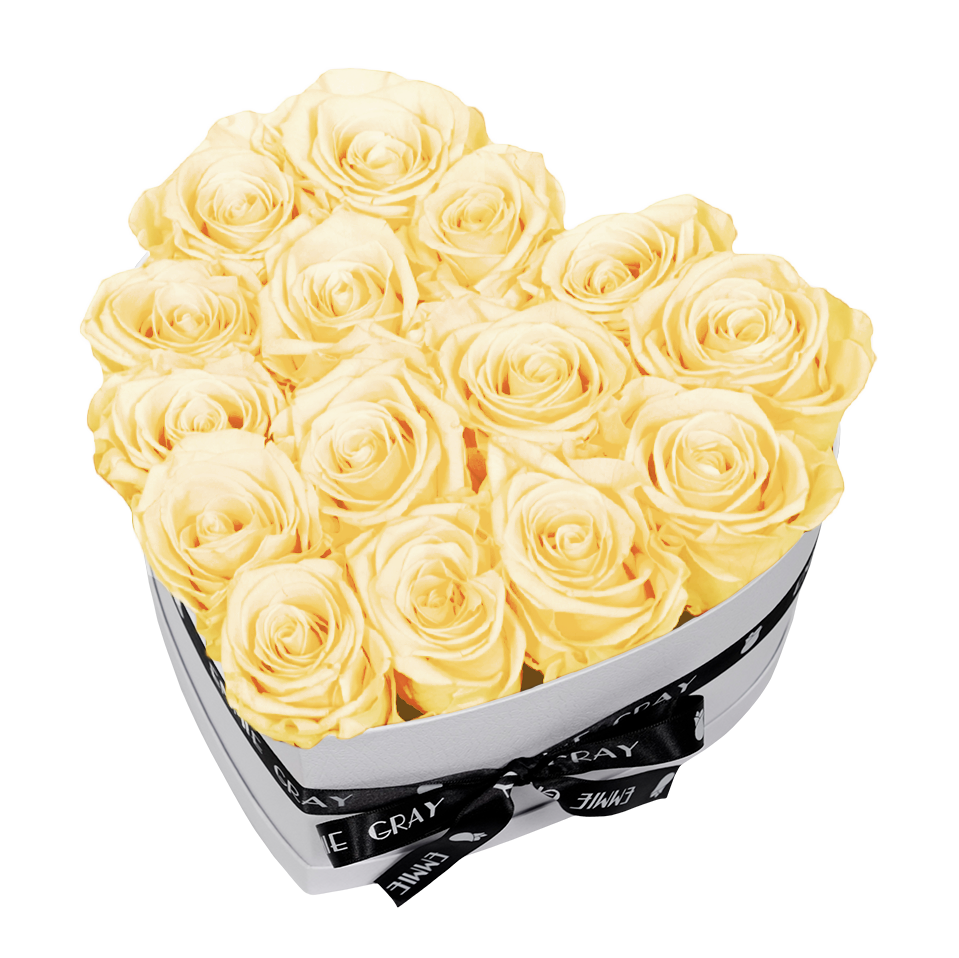 CLASSIC INFINITY ROSEBOX | CHAMPAGNE | M