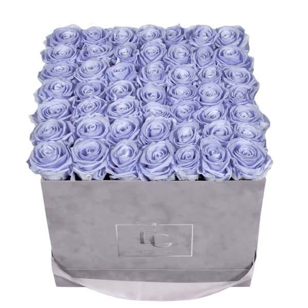 CLASSIC INFINITY ROSEBOX | COOL LAVENDER | L