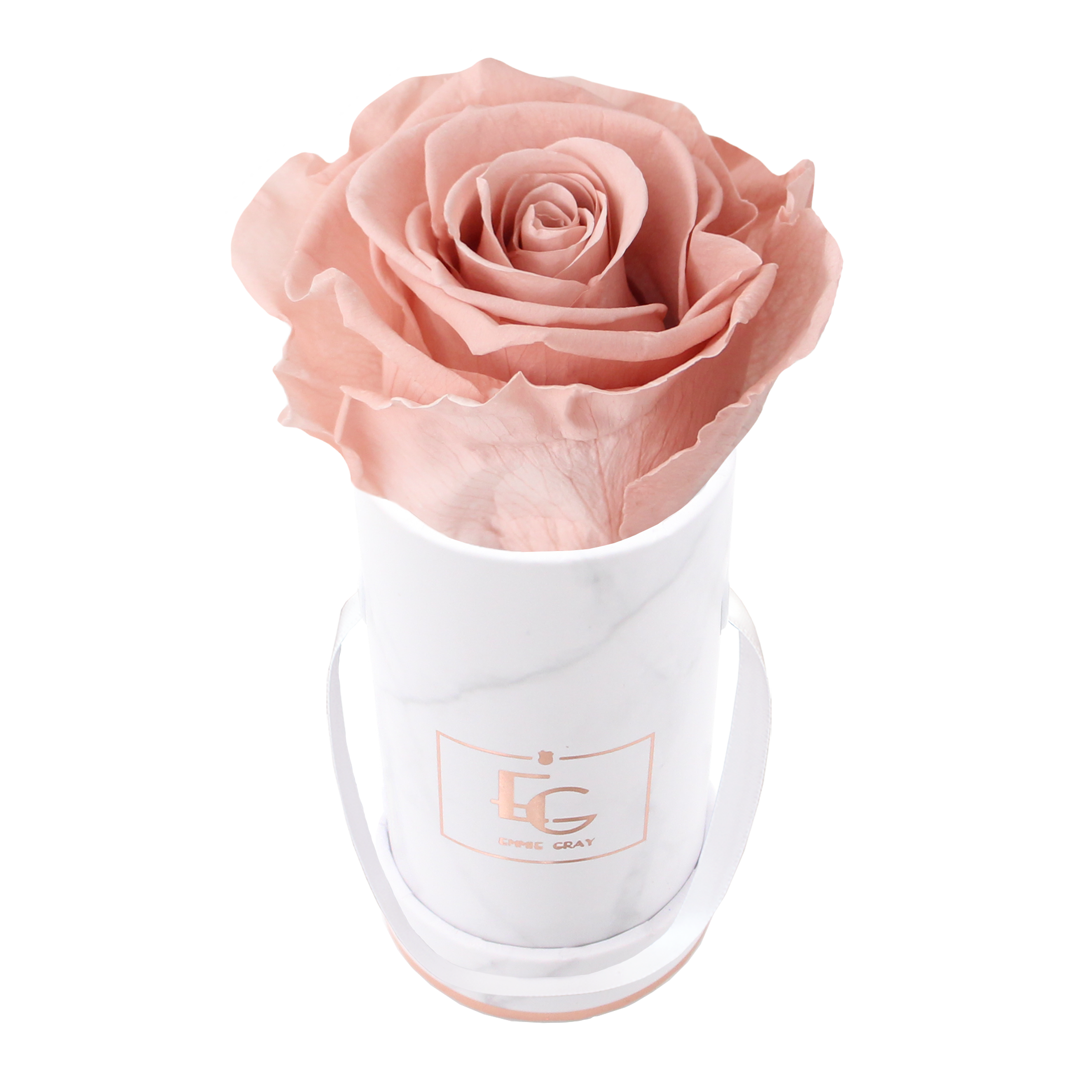 Classic Infinity Rosebox | Antique Pink | XXS