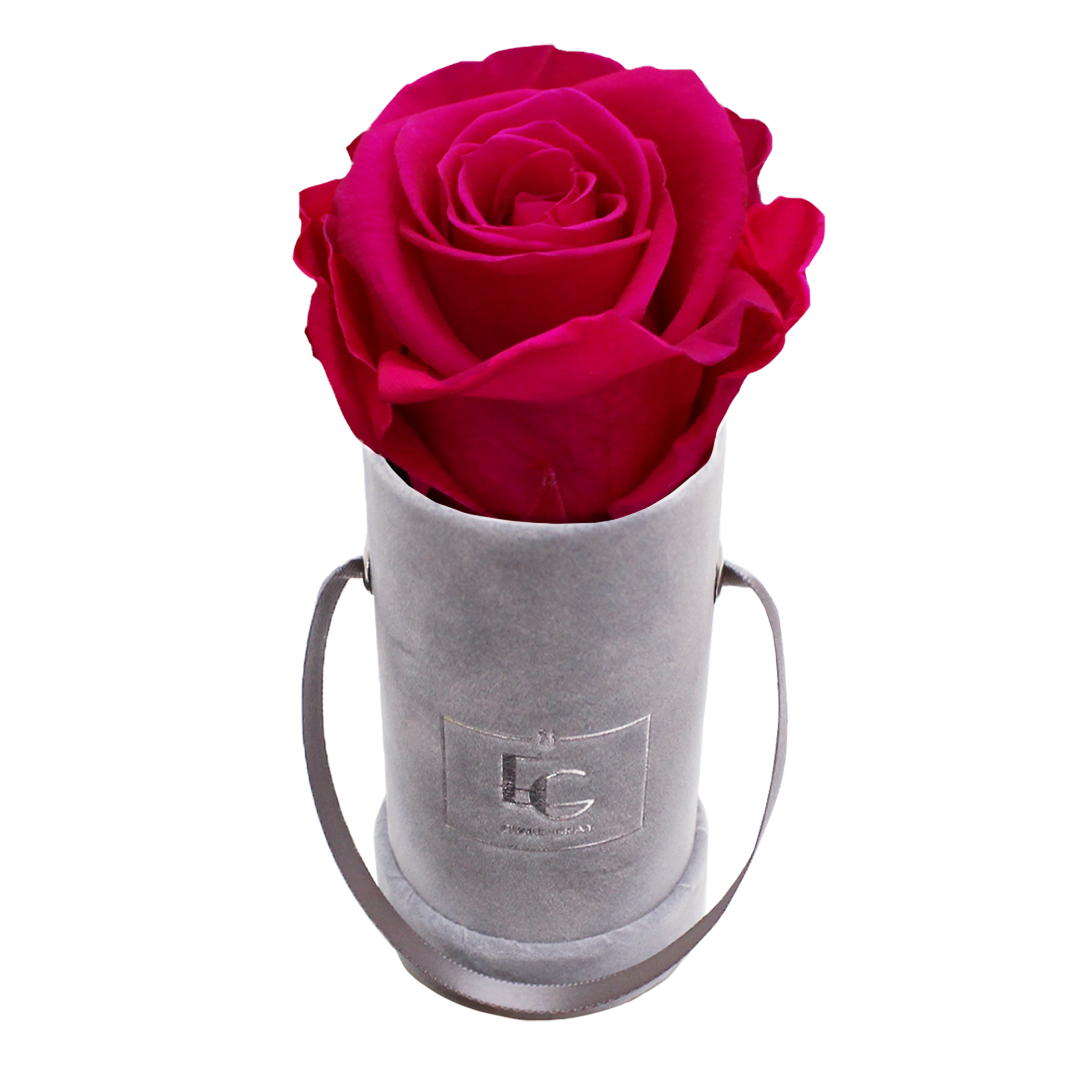 CLASSIC INFINITY ROSEBOX | HOT PINK | XXS