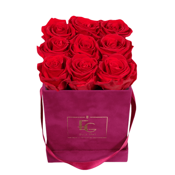 CLASSIC INFINITY ROSEBOX | VIBRANT RED | S