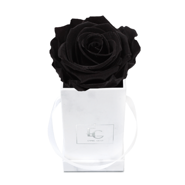 Classic Infinity Rosebox | Black Beauty | XXS