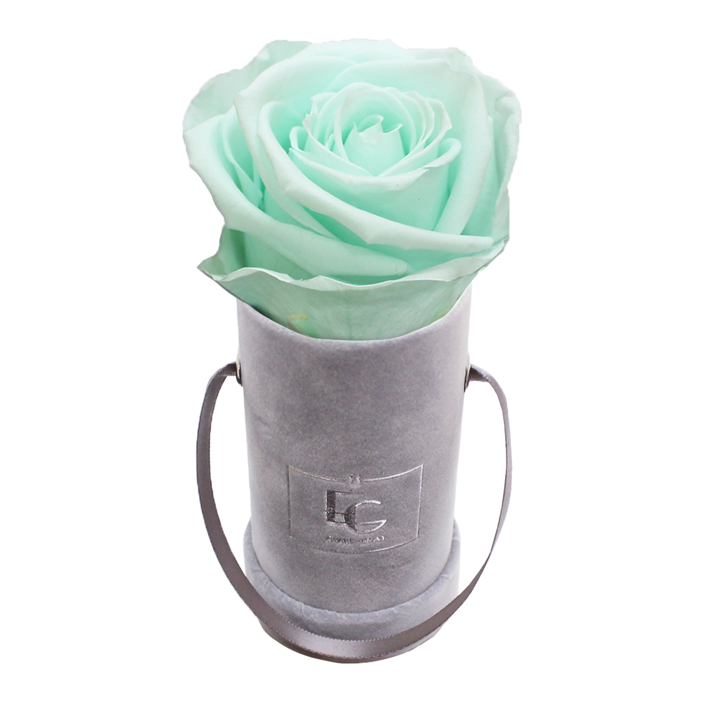 CLASSIC INFINITY ROSEBOX | MINTY GREEN | XXS