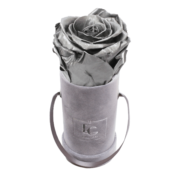 CLASSIC INFINITY ROSEBOX | SILVER | XXS